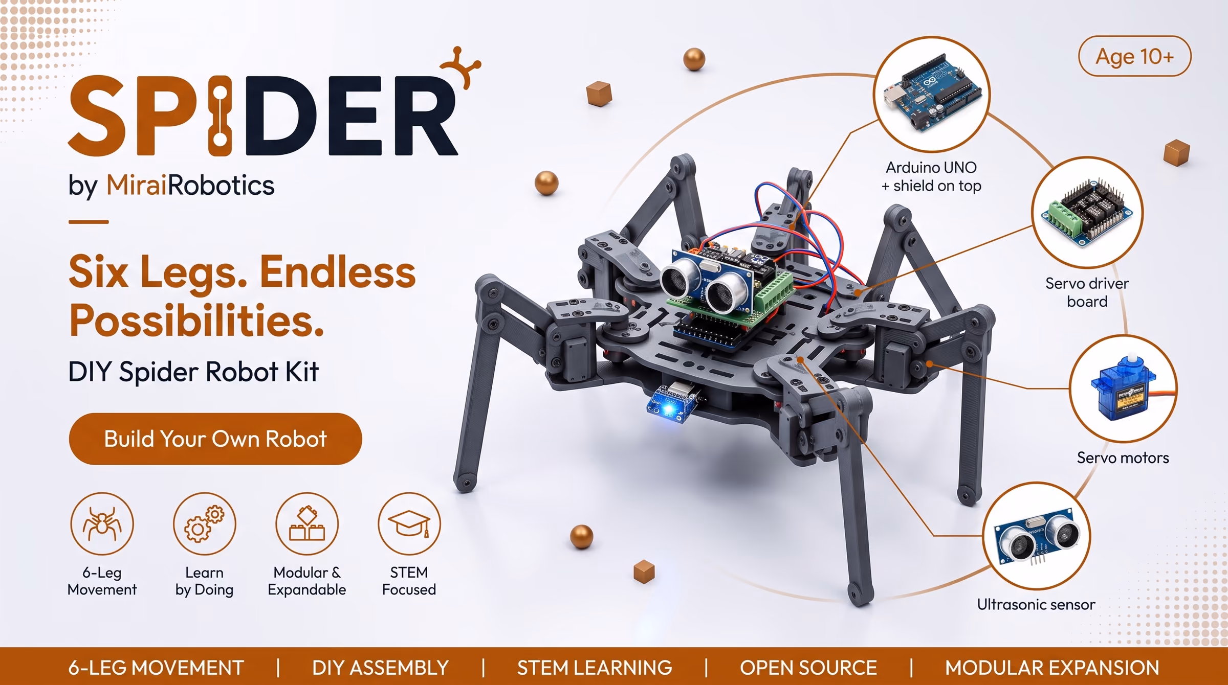 SPIDER — Six-legged walking robot with real gait control.